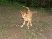 09) Duffy spaziern kann doch toll sein